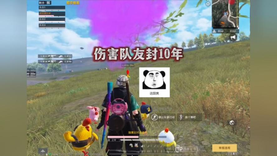 和平精英【星光】iOS辅助